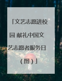 文艺志愿进校园 献礼中国文艺志愿者服务日（图）
