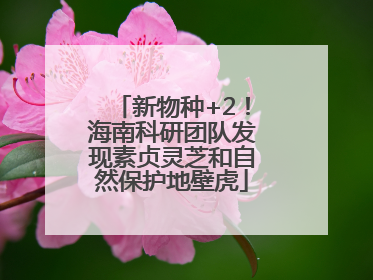 新物种+2！海南科研团队发现素贞灵芝和自然保护地壁虎