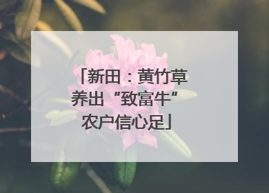 新田：黄竹草养出“致富牛” 农户信心足