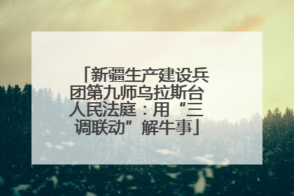 新疆生产建设兵团第九师乌拉斯台人民法庭：用“三调联动”解牛事