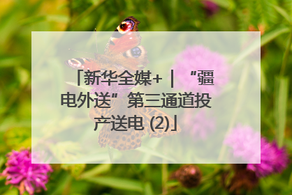 新华全媒+｜“疆电外送”第三通道投产送电 (2)