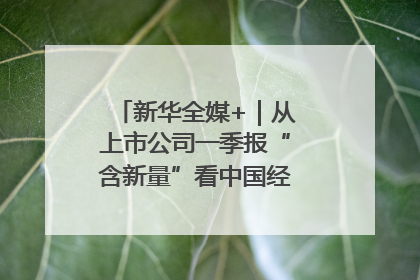 新华全媒+｜从上市公司一季报“含新量”看中国经济发展向“新”