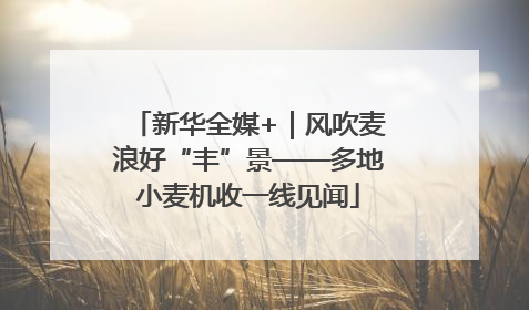 新华全媒+｜风吹麦浪好“丰”景——多地小麦机收一线见闻