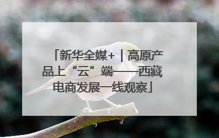 新华全媒+｜高原产品上“云”端——西藏电商发展一线观察