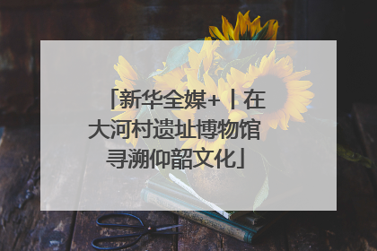 新华全媒+丨在大河村遗址博物馆寻溯仰韶文化