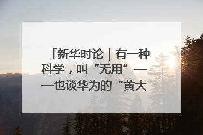 新华时论｜有一种科学，叫“无用”——也谈华为的“黄大年茶思屋”