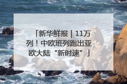 新华鲜报｜11万列！中欧班列跑出亚欧大陆“新时速”