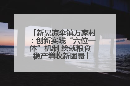 新晃凉伞镇万家村：创新实践“六位一体”机制 绘就粮食稳产增收新图景