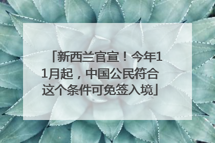 新西兰官宣！今年11月起，中国公民符合这个条件可免签入境