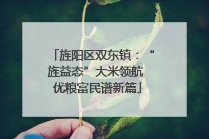 旌阳区双东镇：“旌益态”大米领航 优粮富民谱新篇