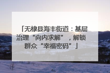 无棣县海丰街道：基层治理“向内求解”，解锁群众“幸福密码”