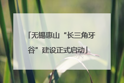 无锡惠山“长三角牙谷”建设正式启动
