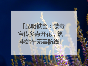 昆明铁警：禁毒宣传多点开花，筑牢站车无毒防线