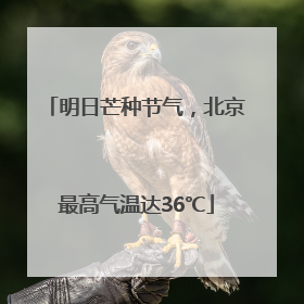 明日芒种节气，北京最高气温达36℃