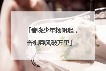 春晓少年扬帆起，奋楫乘风破万里