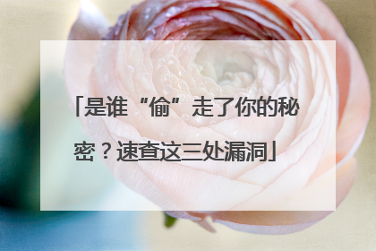 是谁“偷”走了你的秘密？速查这三处漏洞