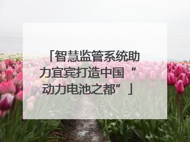 智慧监管系统助力宜宾打造中国“动力电池之都”