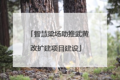 智慧梁场助推武黄改扩建项目建设