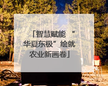 智慧赋能 “华夏东极”绘就农业新画卷