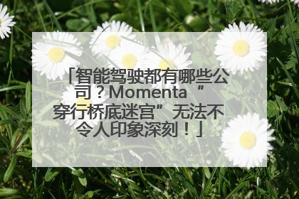 智能驾驶都有哪些公司？Momenta“穿行桥底迷宫”无法不令人印象深刻！