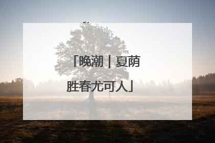 晚潮｜夏荫胜春尤可人