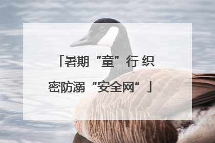 暑期“童”行 织密防溺“安全网”