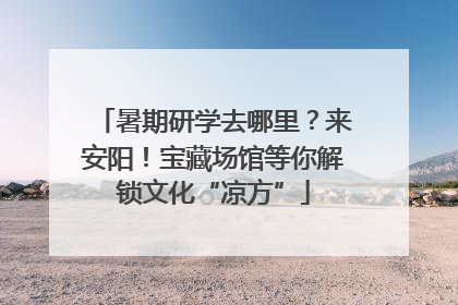 暑期研学去哪里？来安阳！宝藏场馆等你解锁文化“凉方”