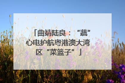 曲靖陆良：“蔬”心电护航粤港澳大湾区“菜篮子”