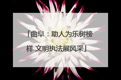 曲阜：助人为乐树榜样 文明执法展风采