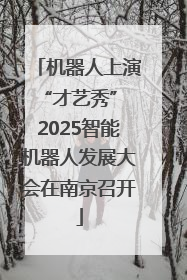 机器人上演“才艺秀” 2025智能机器人发展大会在南京召开