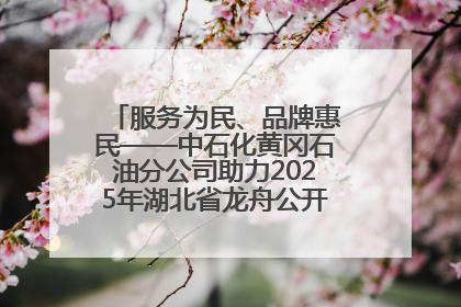 服务为民、品牌惠民——中石化黄冈石油分公司助力2025年湖北省龙舟公开赛（黄冈站）