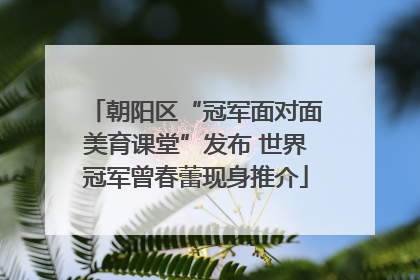 朝阳区“冠军面对面美育课堂”发布 世界冠军曾春蕾现身推介