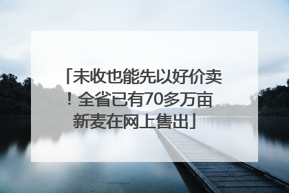 未收也能先以好价卖！全省已有70多万亩新麦在网上售出
