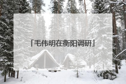 毛伟明在衡阳调研