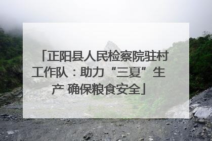 正阳县人民检察院驻村工作队：助力“三夏”生产 确保粮食安全