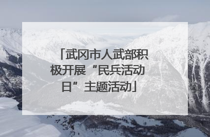 武冈市人武部积极开展“民兵活动日”主题活动