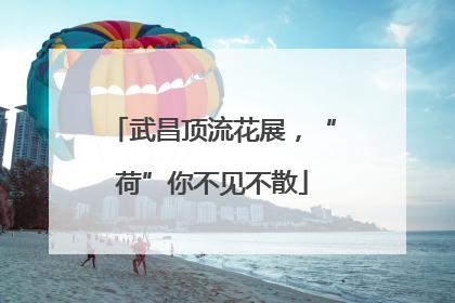 武昌顶流花展，“荷”你不见不散