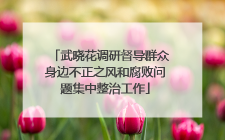 武晓花调研督导群众身边不正之风和腐败问题集中整治工作