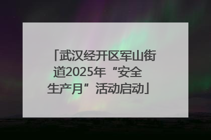 武汉经开区军山街道2025年“安全生产月”活动启动