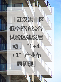 武汉洪山区低空经济综合试验区建设启动，“1+4+1”产业布局初现