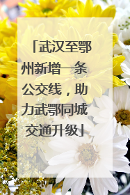 武汉至鄂州新增一条公交线，助力武鄂同城交通升级