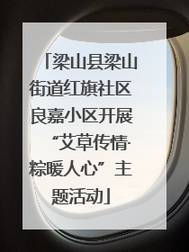 梁山县梁山街道红旗社区良嘉小区开展“艾草传情·粽暖人心”主题活动