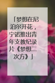 梦想在尼泊尔开花，宁诺推出青年支教纪录片《梦想二次方》