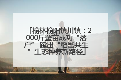 榆林榆阳镇川镇：2000斤蟹苗成功“落户” 蹚出“稻蟹共生”生态种养新路径
