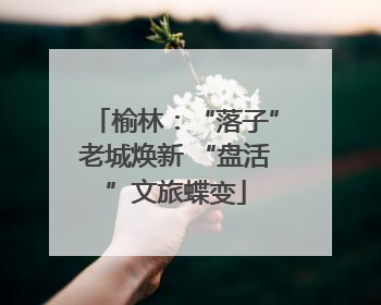 榆林：“落子”老城焕新 “盘活”文旅蝶变