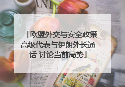 欧盟外交与安全政策高级代表与伊朗外长通话 讨论当前局势