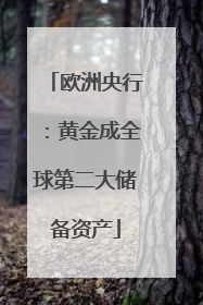 欧洲央行：黄金成全球第二大储备资产