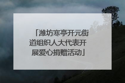 潍坊寒亭开元街道组织人大代表开展爱心捐赠活动