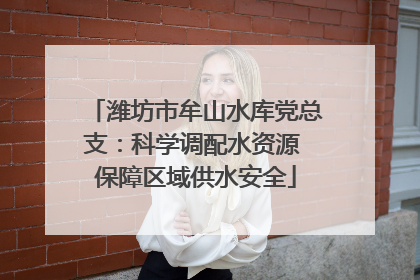 潍坊市牟山水库党总支：科学调配水资源 保障区域供水安全