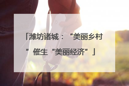 潍坊诸城：“美丽乡村”催生“美丽经济”